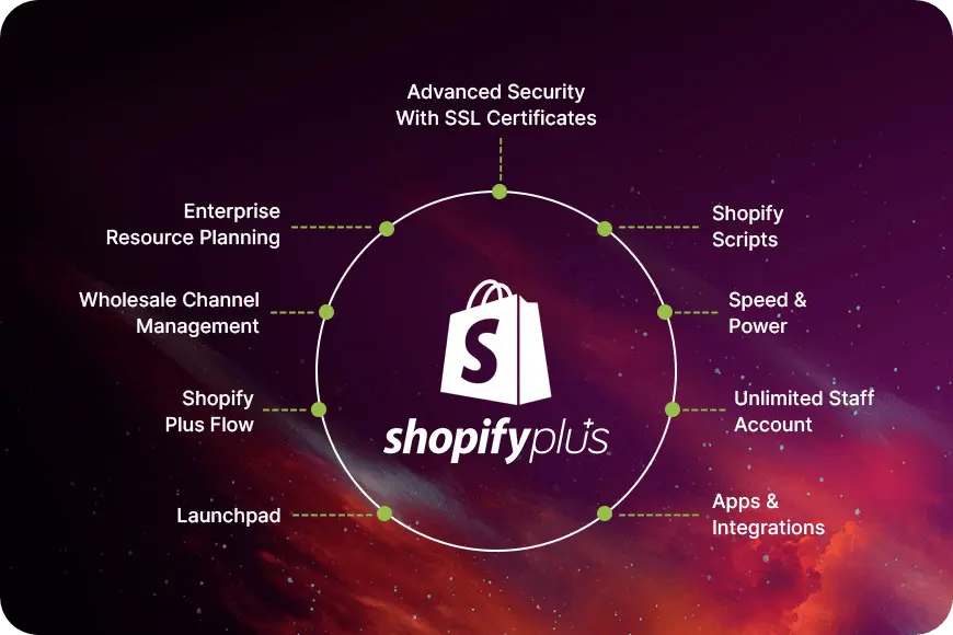 Shopify flow-Blog